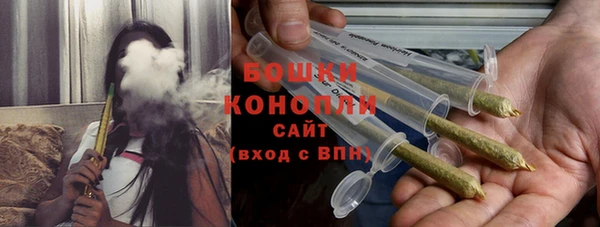 сатива Зеленодольск