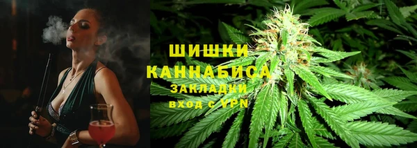 сатива Зеленодольск